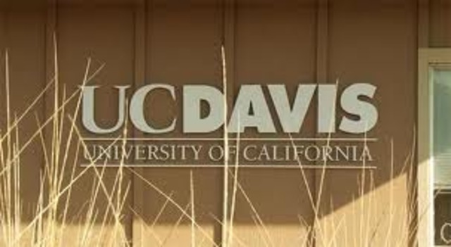 last year of college; last year at UC Davis:)