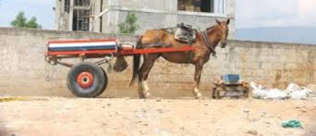 DECRETO 1666 DE 2010