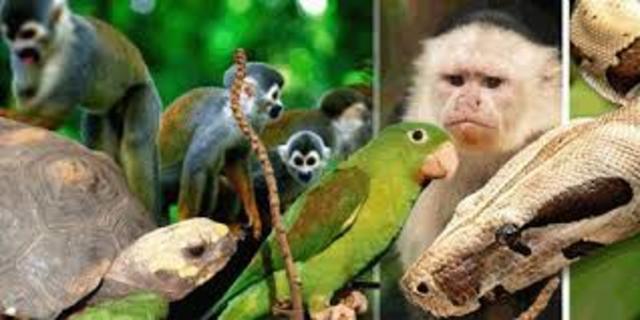 DECRETO 1608 DE 1978