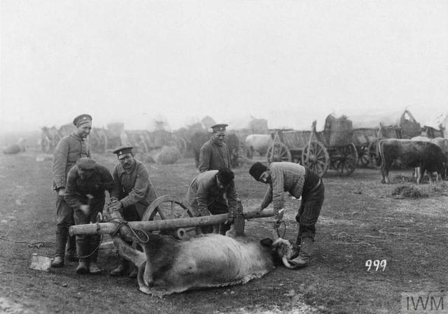 Bulharsko vstupuje do války