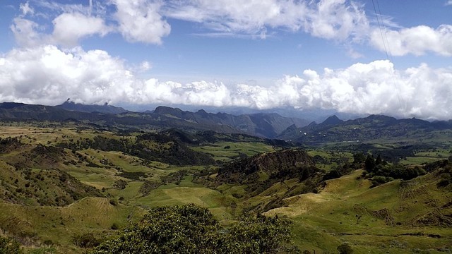 CARACTERÍSTICAS GENERALES