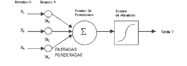 Modelo De Neuronas Artificiales