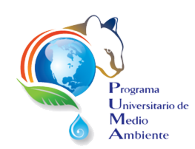 Primeros Términos de Recuperación del Medio