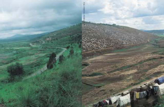 Resultados de la Contaminación en la Naturaleza