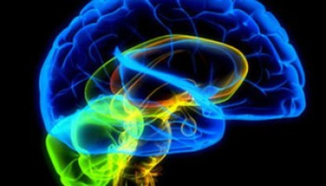 HEMORRAGIA CEREBRAL HEREDITARIA CON AMILOIDOSIS