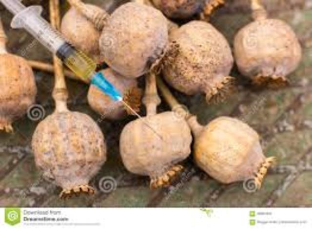 GUERRAS DEL OPIO (1840-1860)