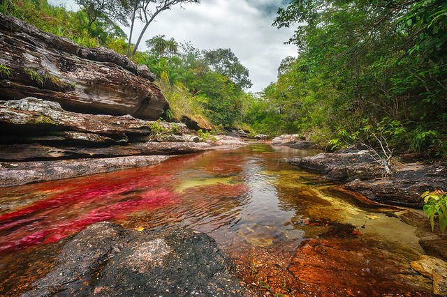 Fundación de el Caño de Cristales.
