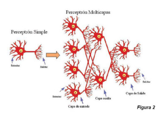 Red Tipo Perceptrón