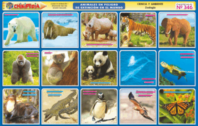 ANIMALES QUE LUCHAN POR SEGUIR EN LA TIERRA