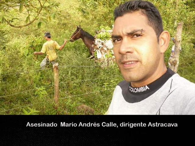 Mario Andrés Calle Correa