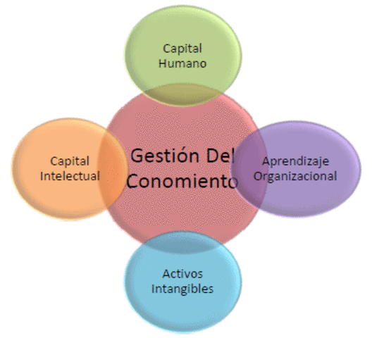 LOS COMPONENTES GESTIÓN DEL CONOCIMIENTO