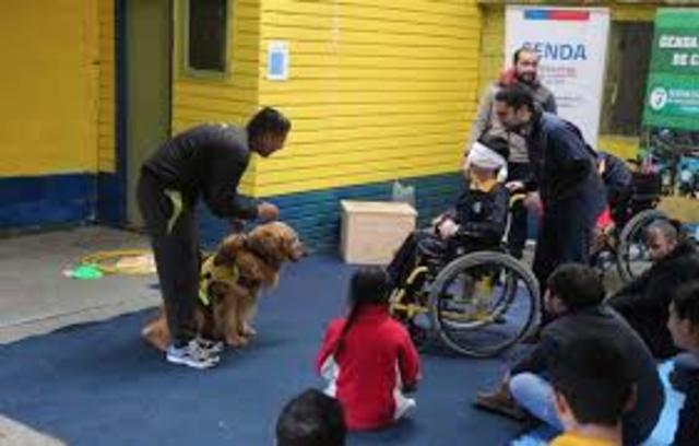INGLATERRA Implementación de canoterapia