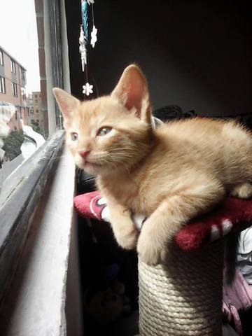 ese dia me dormi todo el dia