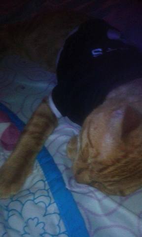 ese dia  me complaron  una  camiseta y comida