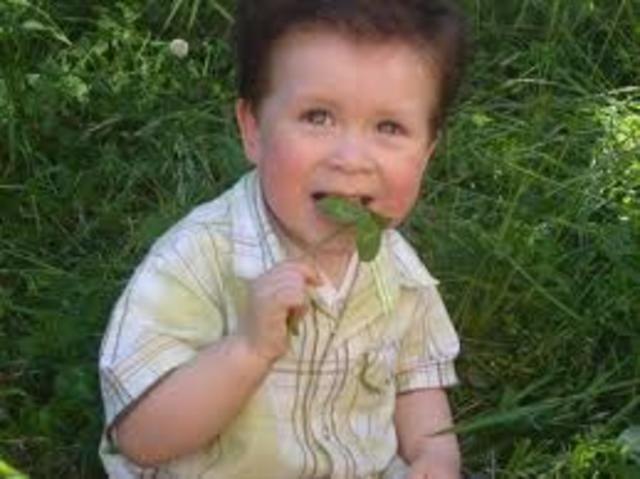 Mis años de experimentar con todo