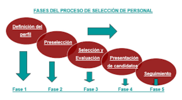 FASES DEL PROCESO DE SELECCIÓN DE PERSONAL