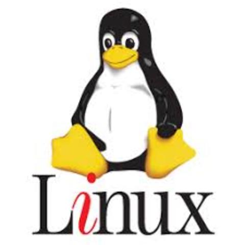 Torvald Develops GNU Kernel