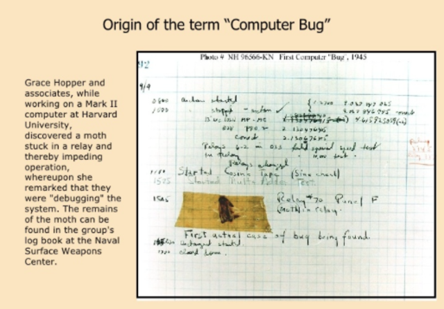 Computer "Bugs"