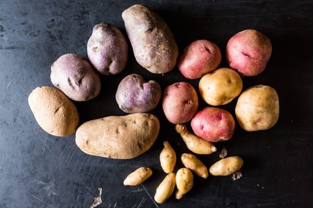 Domestication of the potato