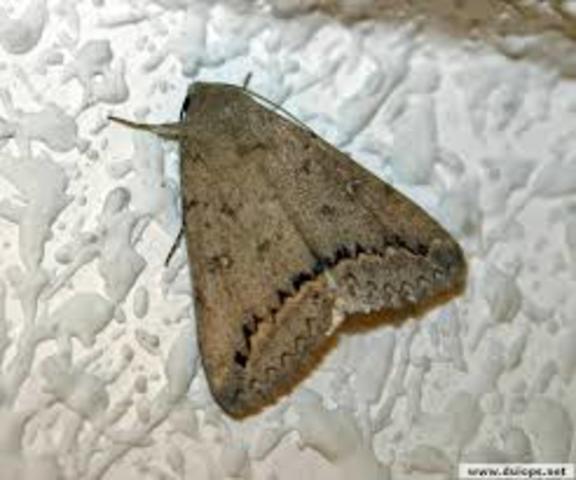 primer mal funcionamiento en un ordenador