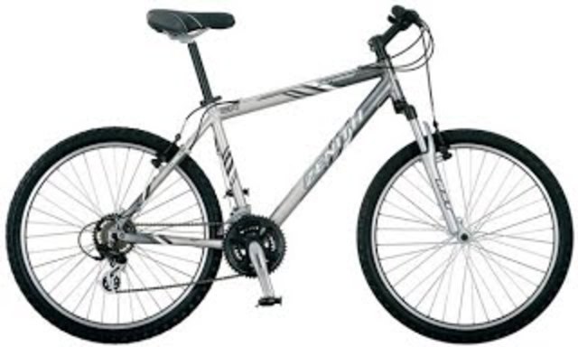 Bicicleta de montaña