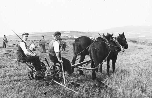 Agricultural colonization