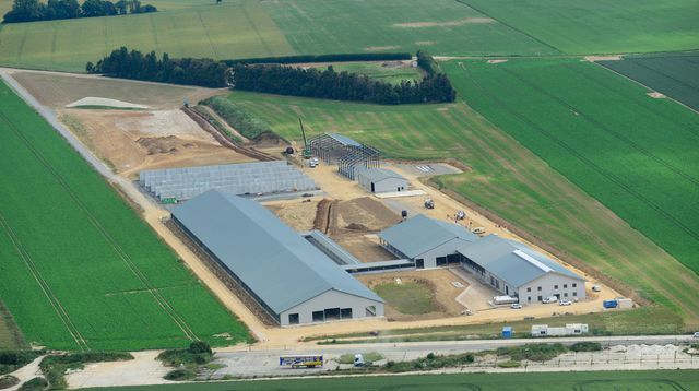 Le projet de la ferme aux 1000 vaches