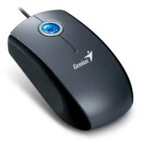 computer mouse