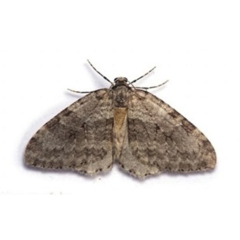 Primer mal funcionamiento de un ordenador