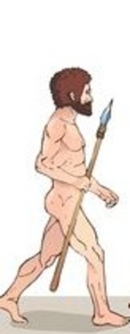 Homo neanderthalensis