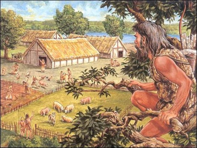 Landbouw in Nederland