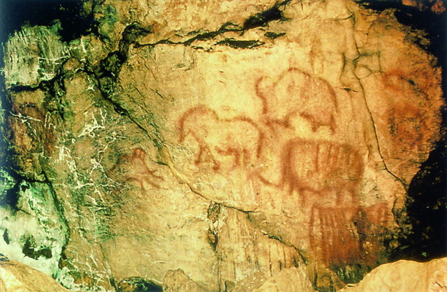 Открыты рисунки в Каповой пещере зоологом заповедника А.В. Рюминым