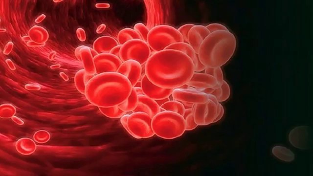 Destrucción coágulos sanguíneos