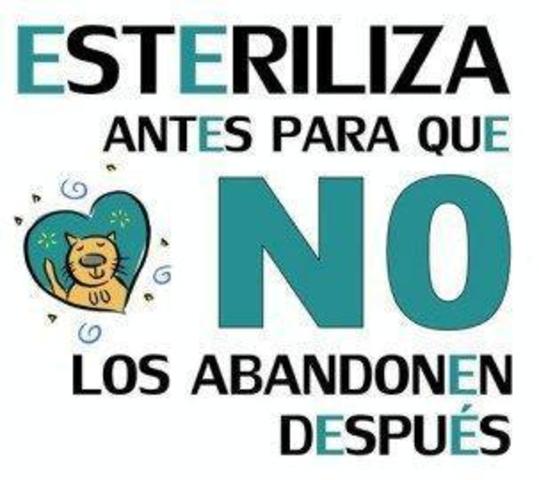Primera Campaña de esterilización