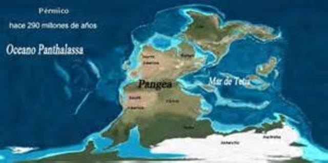 300 m.a: Formación de pangea, grandes océanos y variedad de seres vivos.