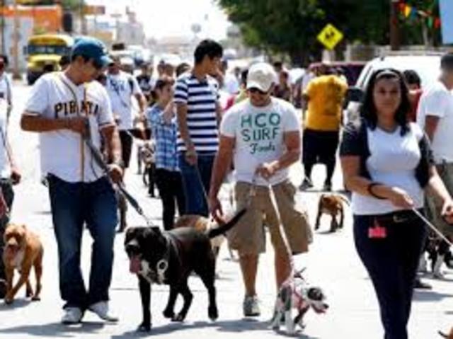 marcha a favor de los pitbull