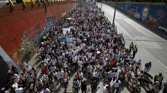 Caminata love pitbull