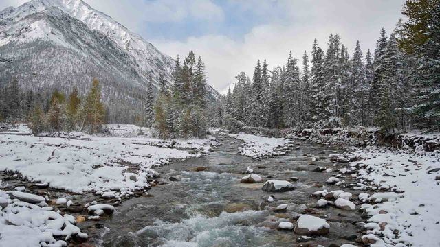 Ivan conquered Siberia