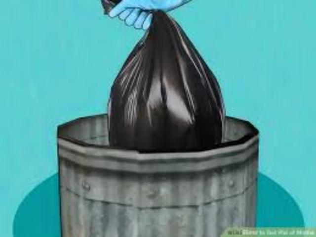 South Carolina Repeal of Nullification