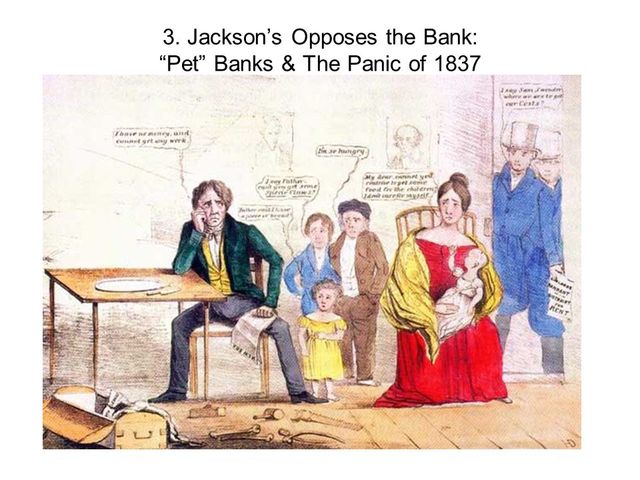 Jackson's Pet Banks