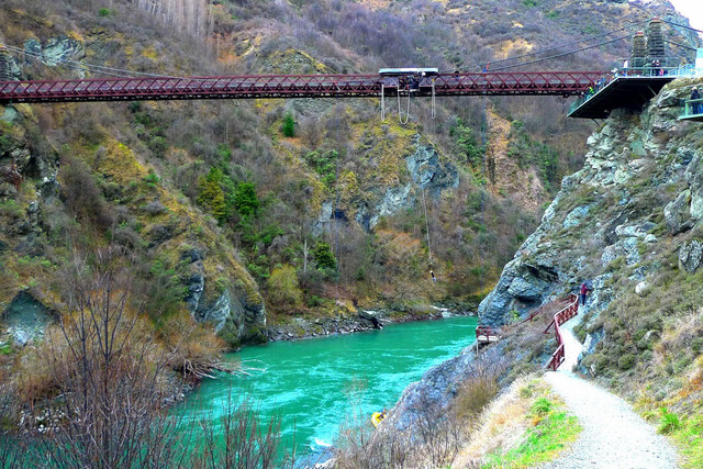 Commercial bungee jump, New Zealand - Queenstown & Auckland