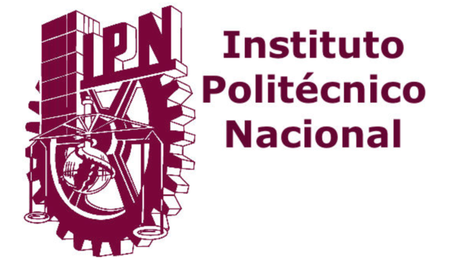 FUNDACIÓN DEL INSTITUTO POLITÉCNICO NACIONAL