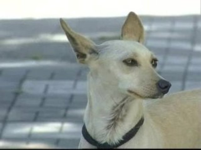 Cementerio Nerja, Malaga