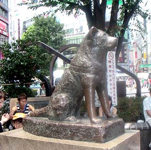Hachiko