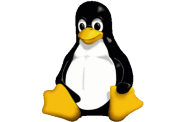 ~LINUX~