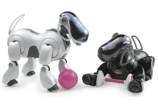 Aibo