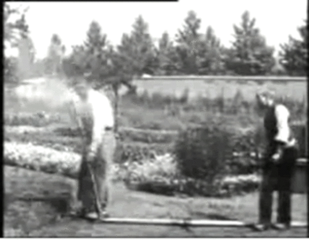 The Cinematograph (1895)