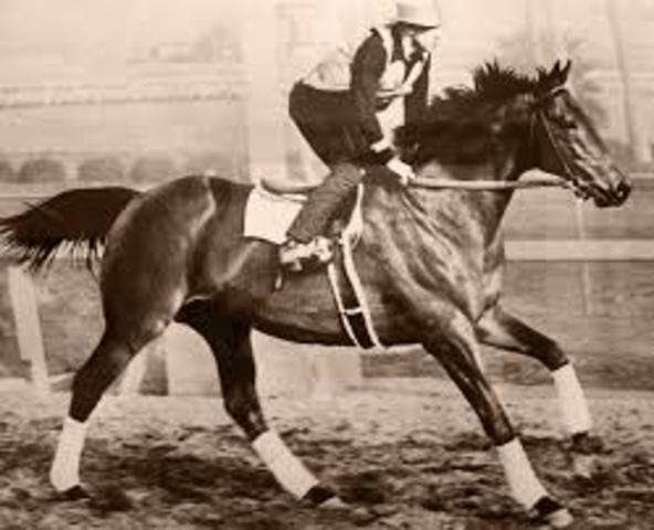 It all started with a bet