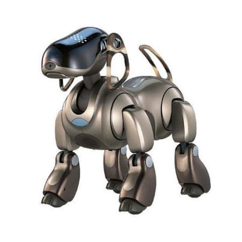 AIBO
