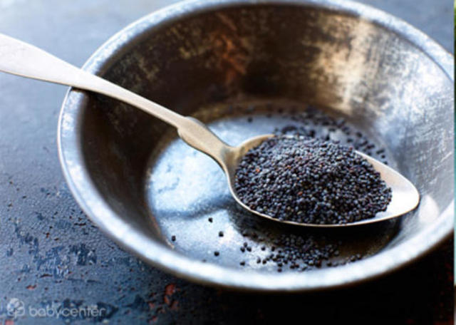 The Embryo Is Created